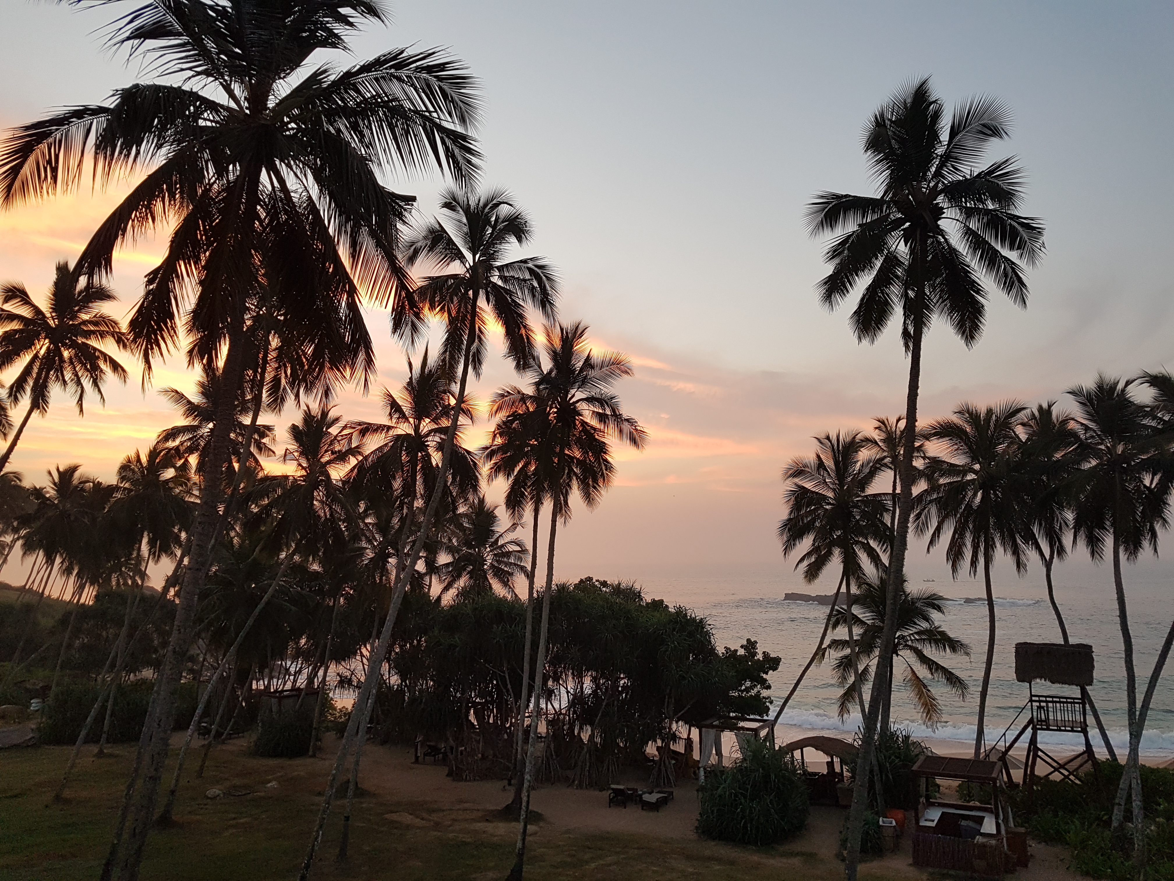 2019-01-23 08.47.36-1